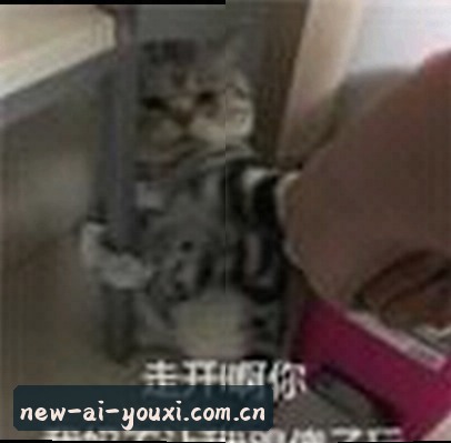 赵鹏